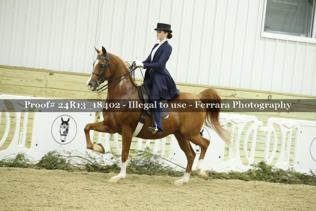 Proof 24R13_18402