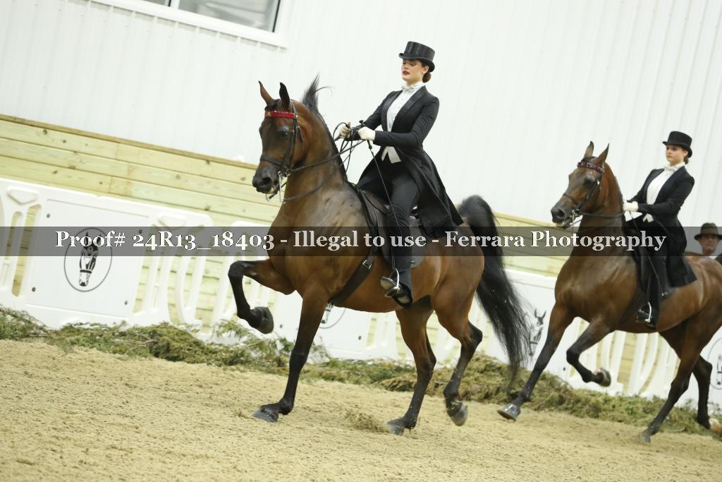 Proof 24R13_18403