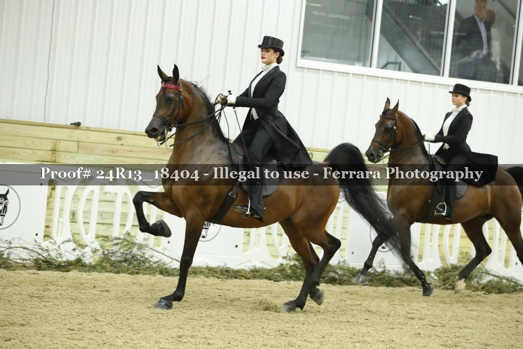 Proof 24R13_18404