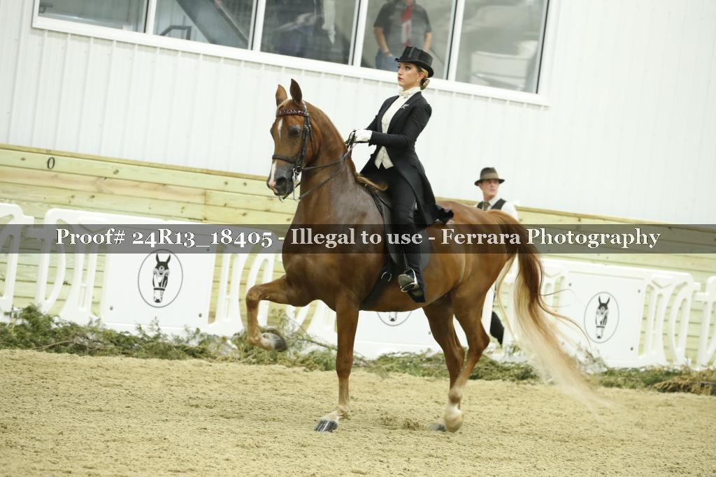 Proof 24R13_18405