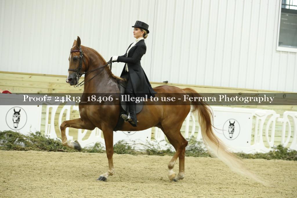 Proof 24R13_18406