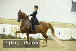 24R13_18406 proof