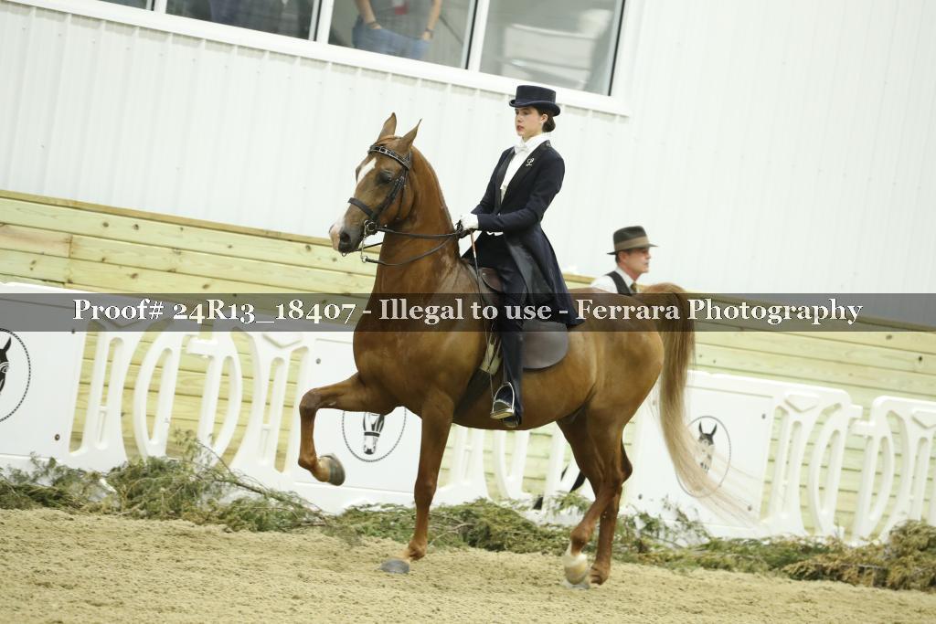 Proof 24R13_18407
