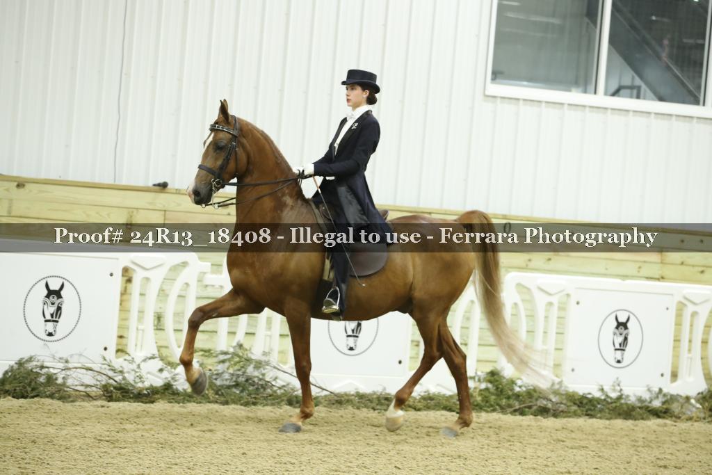 Proof 24R13_18408