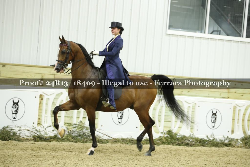 Proof 24R13_18409