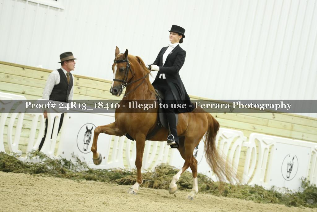 Proof 24R13_18410
