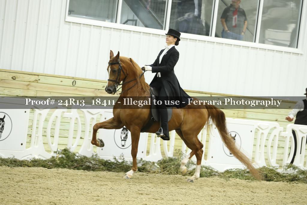 Proof 24R13_18411