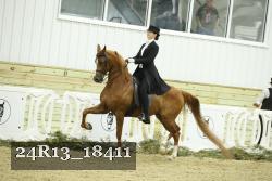 24R13_18411 proof