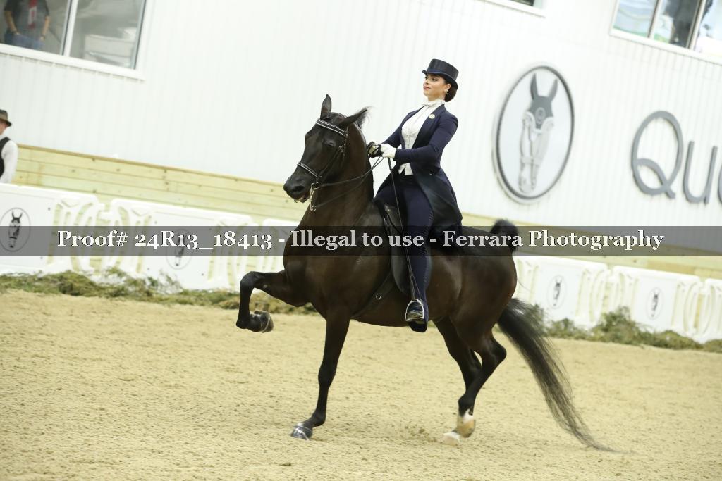 Proof 24R13_18413