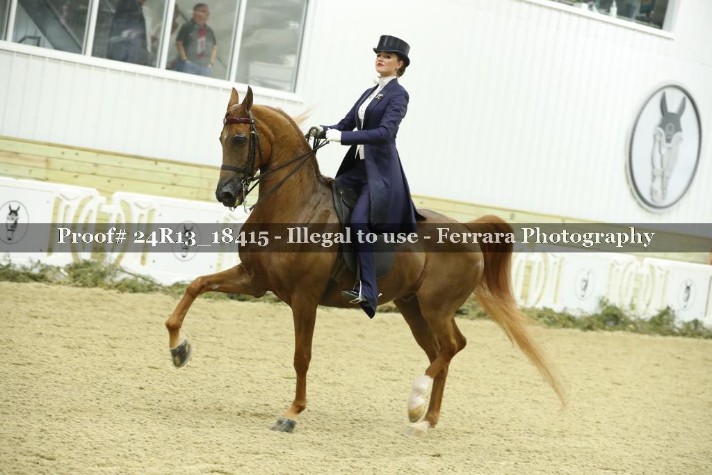 Proof 24R13_18415
