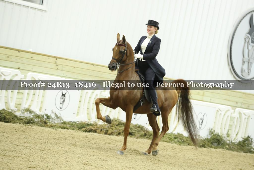 Proof 24R13_18416