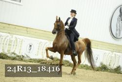 24R13_18416 proof