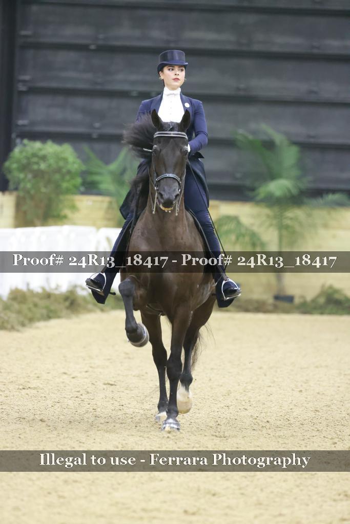 Proof 24R13_18417