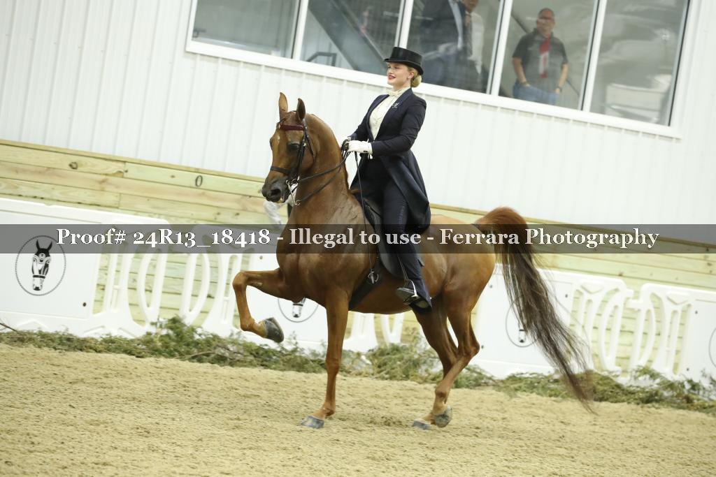 Proof 24R13_18418