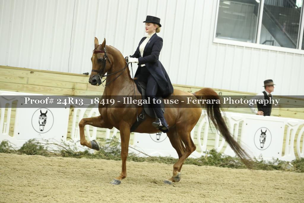 Proof 24R13_18419
