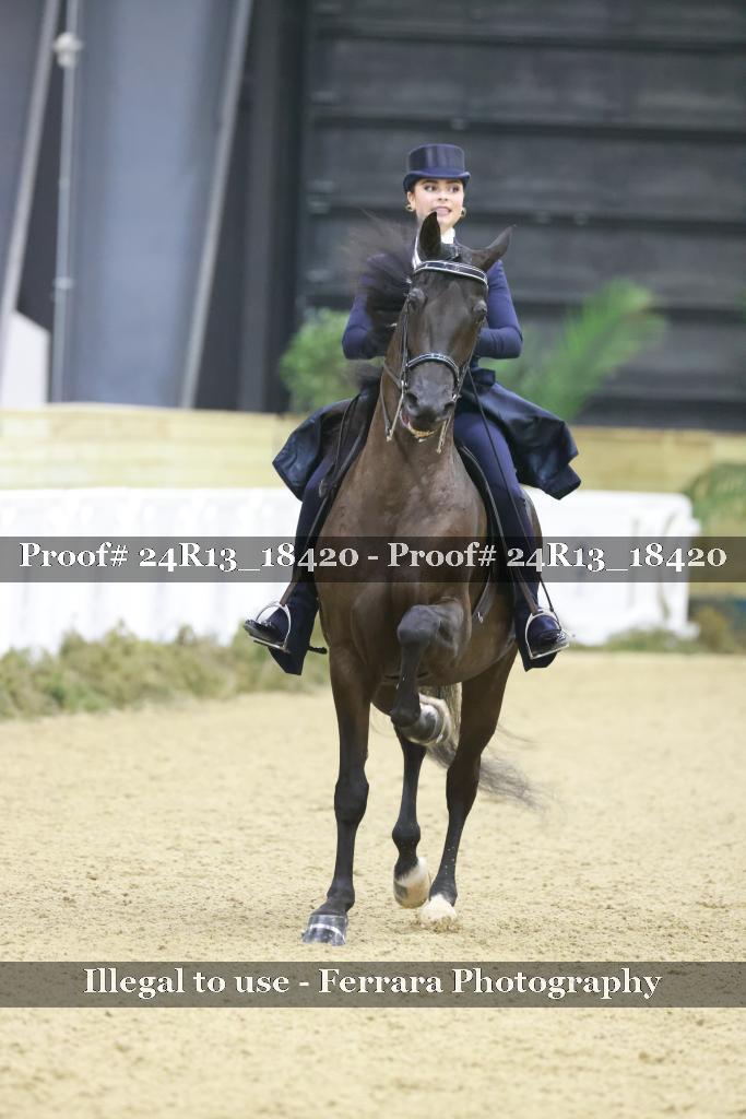 Proof 24R13_18420