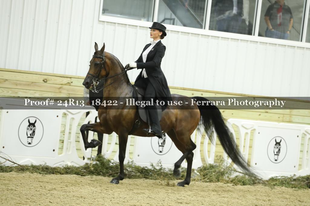 Proof 24R13_18422