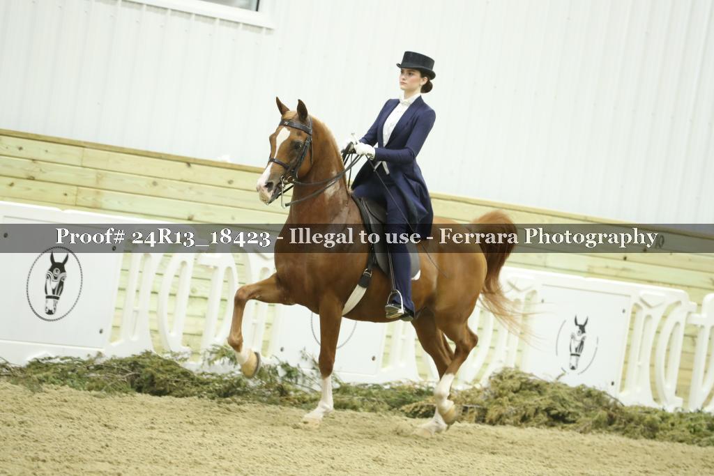 Proof 24R13_18423