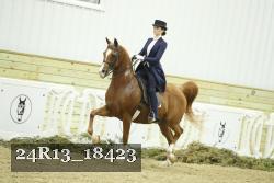 24R13_18423 proof