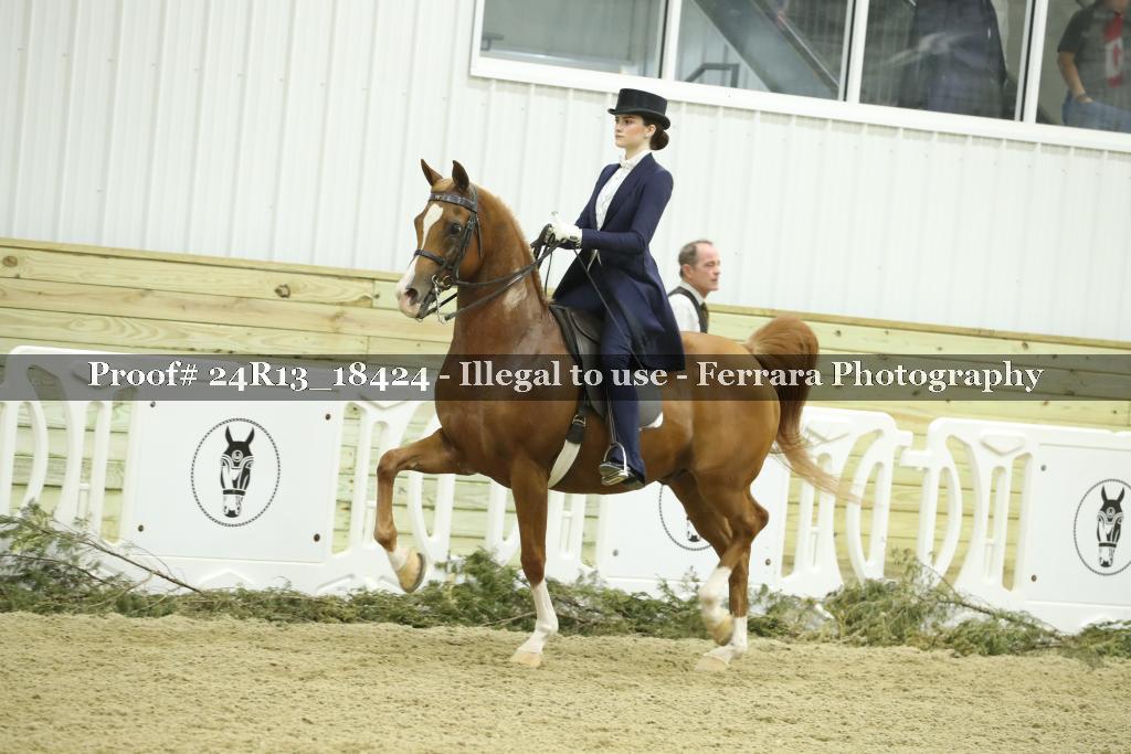 Proof 24R13_18424