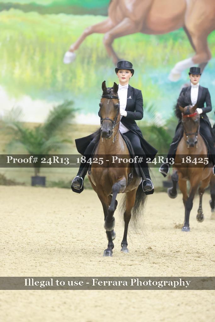 Proof 24R13_18425