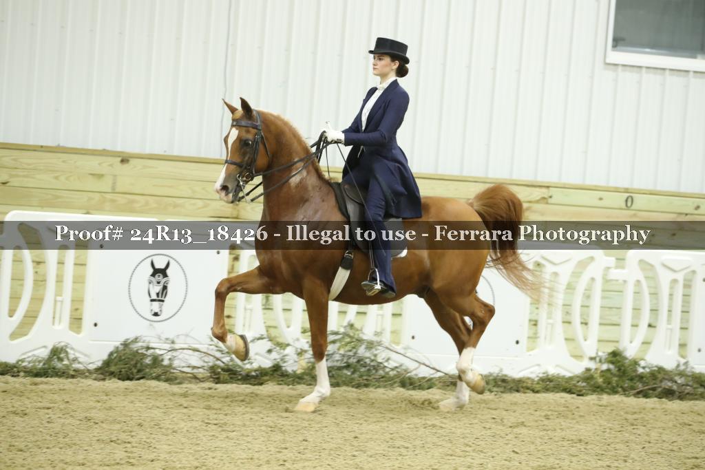 Proof 24R13_18426