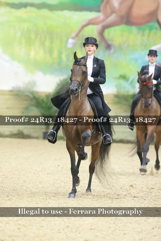 Proof 24R13_18427