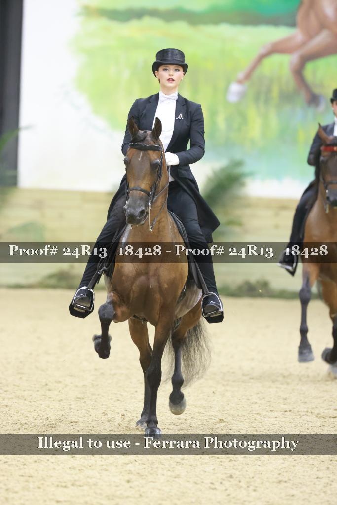 Proof 24R13_18428