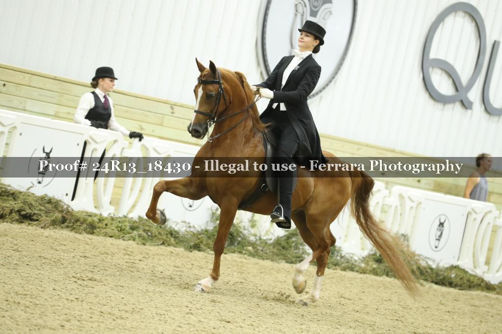 Proof 24R13_18430
