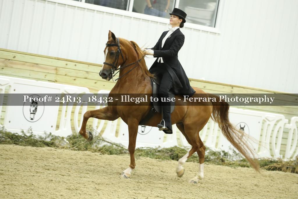 Proof 24R13_18432