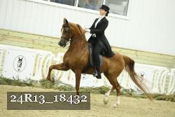 24R13_18432 proof