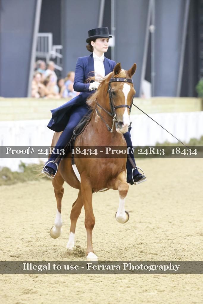Proof 24R13_18434