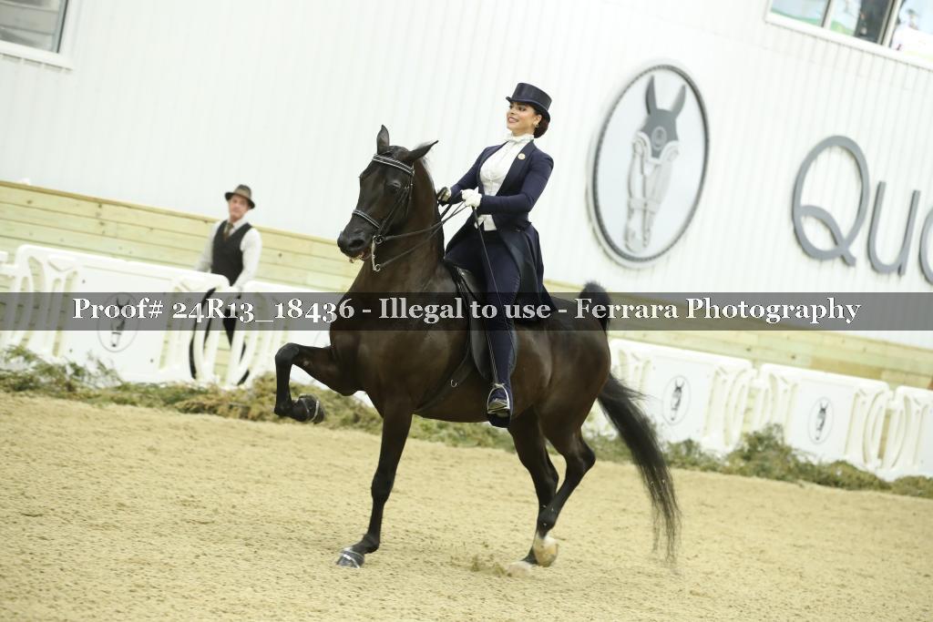 Proof 24R13_18436