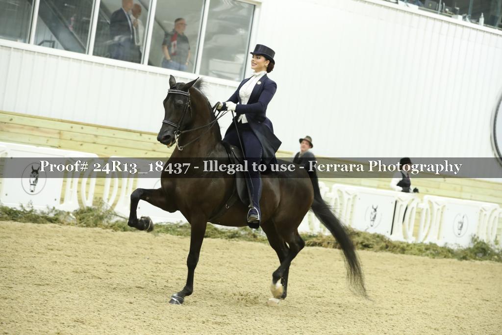 Proof 24R13_18437