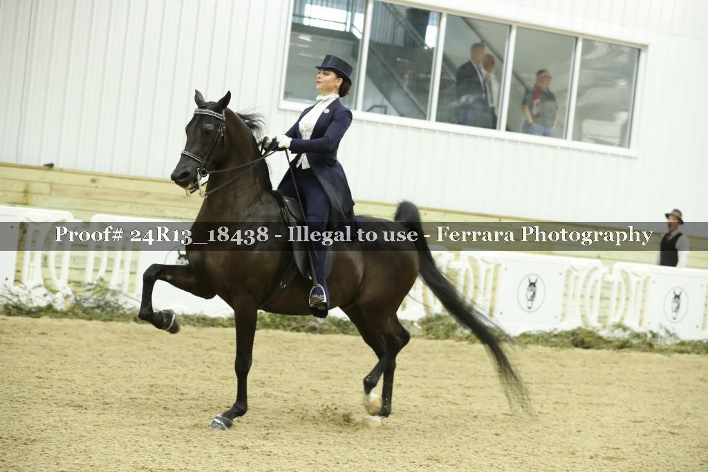 Proof 24R13_18438