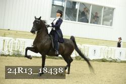 24R13_18438 proof