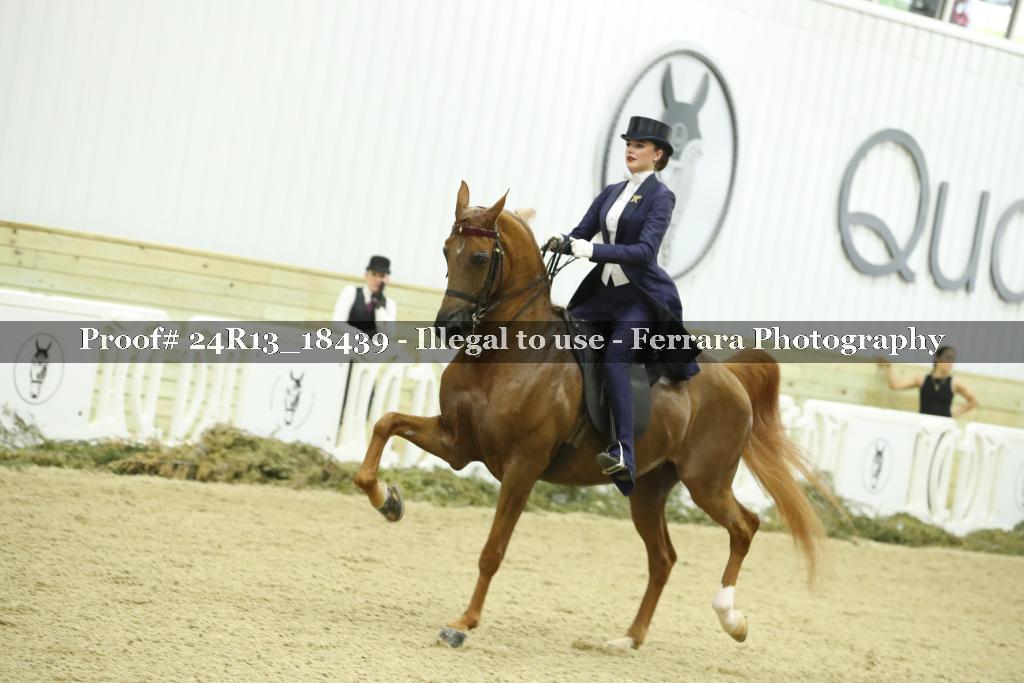 Proof 24R13_18439