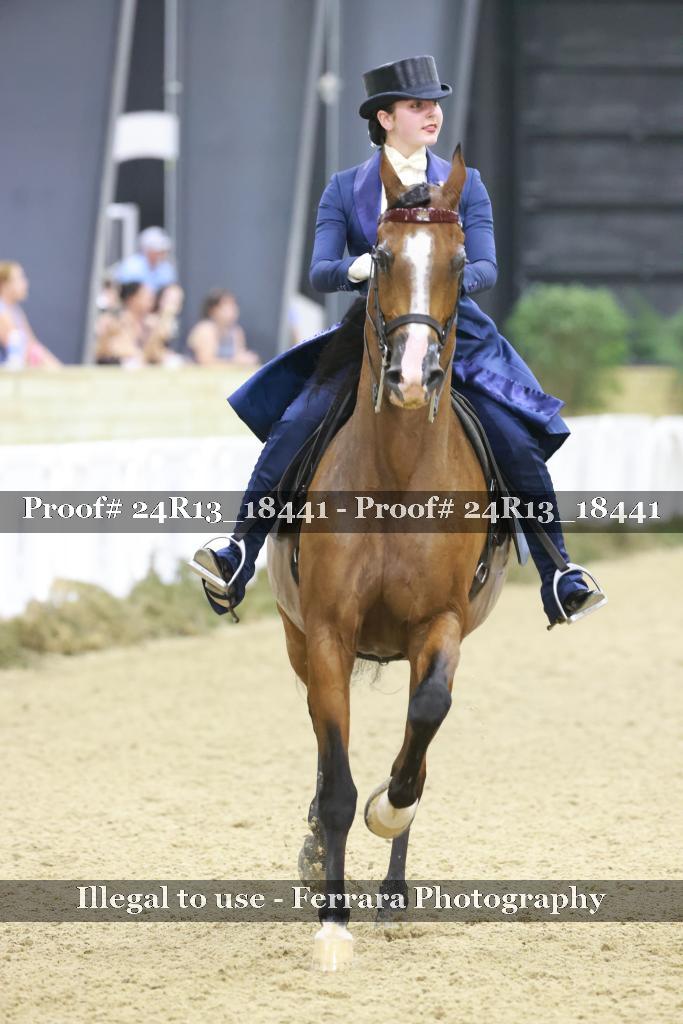 Proof 24R13_18441