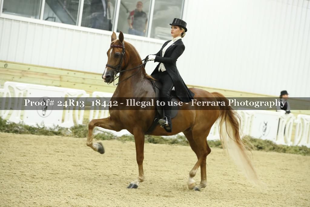 Proof 24R13_18442