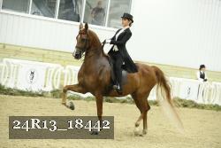 24R13_18442 proof