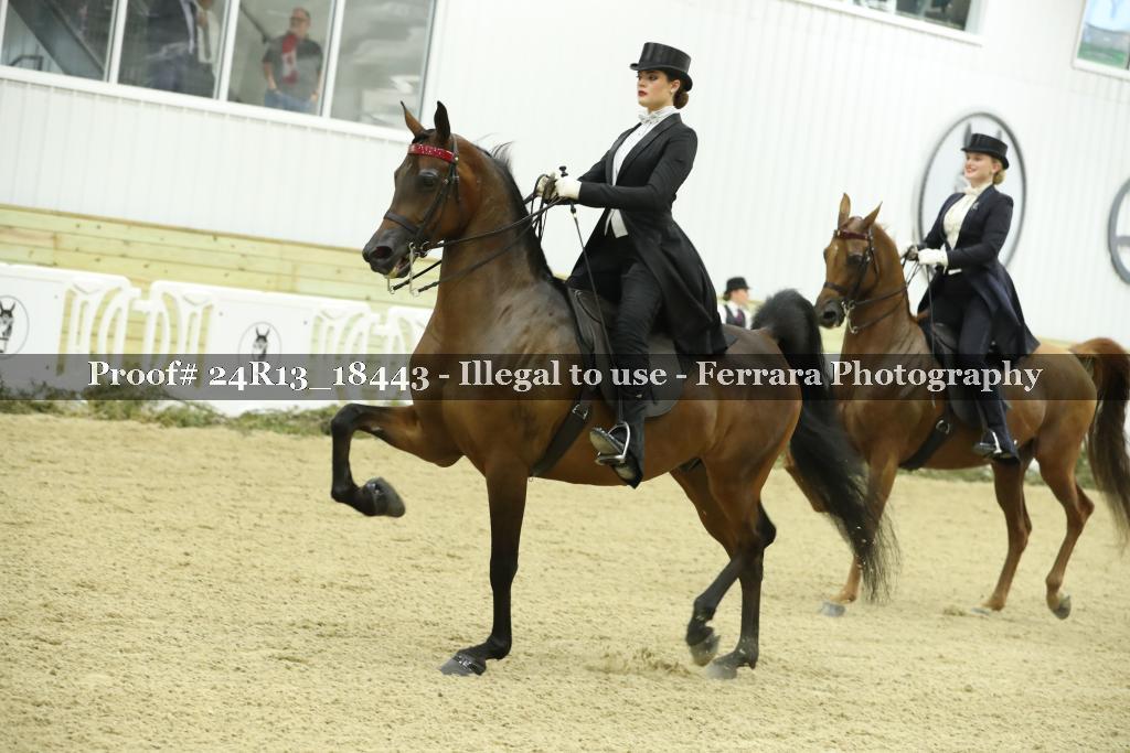 Proof 24R13_18443