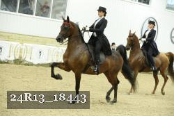24R13_18443 proof