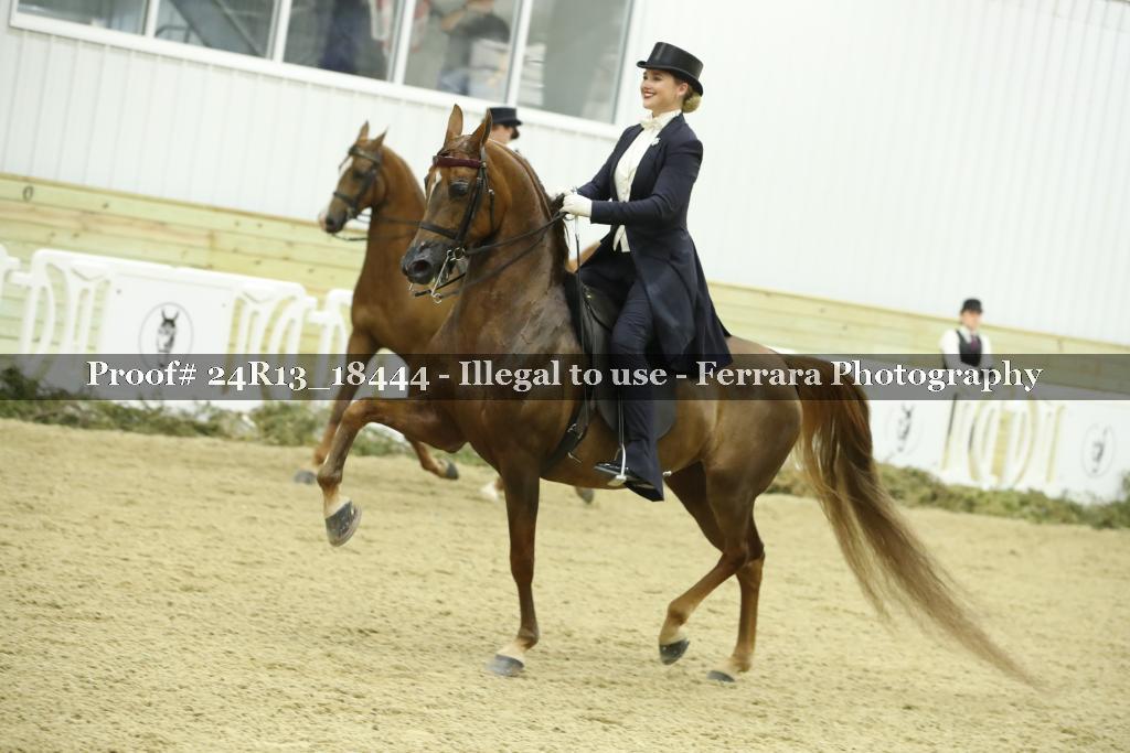 Proof 24R13_18444