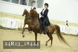 24R13_18444 proof