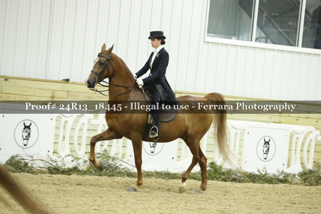 Proof 24R13_18445