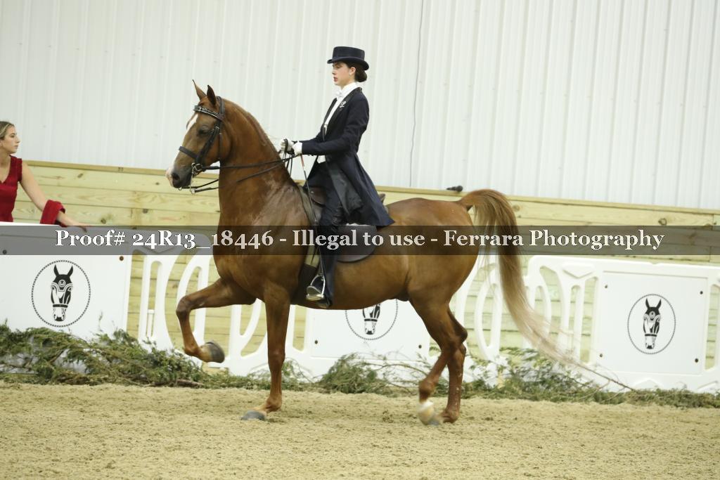 Proof 24R13_18446