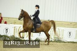 24R13_18446 proof