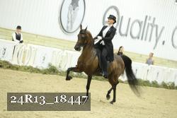 24R13_18447 proof