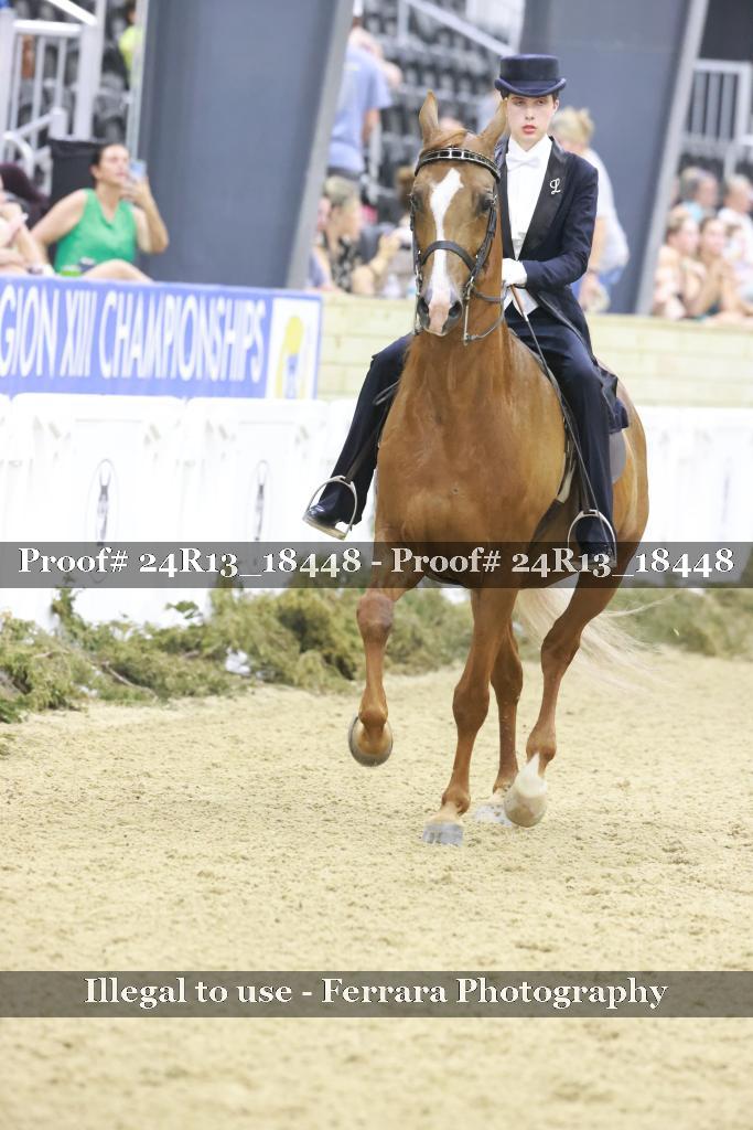 Proof 24R13_18448