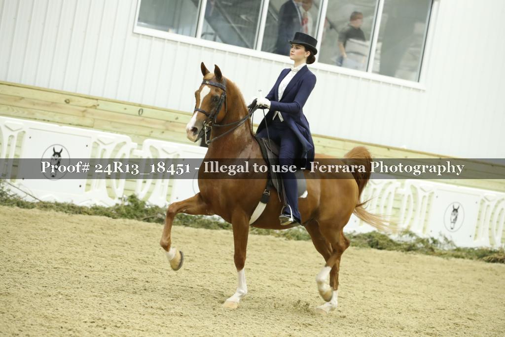 Proof 24R13_18451